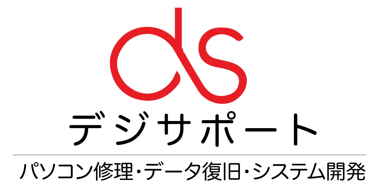 DS logo